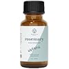 Rosemary Essential Oil by Essential Delights - 100% Pure & Certified 1 oz. | Pure Grade Distilled Rosemary Essential Oil