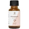 Cinnamon Essential Oil by Essential Delights - 100% Pure & Certified 1 oz. | Pure Grade Distilled Cinnamon Essential Oil