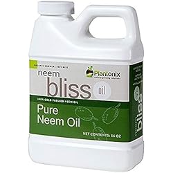 Organic Neem Bliss 100% Pure Cold Pressed Neem Seed Oil - 16 oz High Azadirachtin Content - OMRI Listed for Organic Use