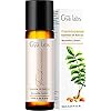 Gya Labs Frankincense Essential Oil Roll On 10ml - Spicy, Woody & Warming Scent - Natural Frankincense Oil