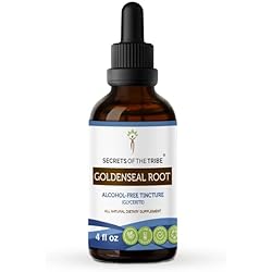 Goldenseal Root Tincture Alcohol-Free Extract, High-Potency Herbal Drops, Tincture Made from Responsibly farmed Goldenseal Hydrastis Canadensis Healthy Digestion 4 oz