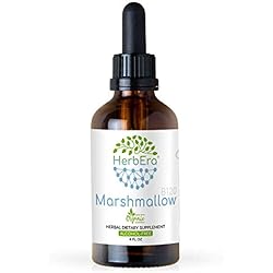 Marshmallow Root B120 Alcohol-Free Herbal Extract Tincture, Super-Concentrated Marshmallow Althaea Officinalis 4 fl oz