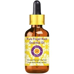 Deve Herbes Pure Finger Root Essential Oil Boesenbergia rotunda Natural Therapeutic Grade Steam Distilled with Glass Dropper 30ml 1 oz