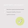 JSHealth Vitamins Gut Health and Immunity Formula | Probiotics for Women and Men | Shelf Stable Probiotic Supplement for Digestive Health and Immune Support 60