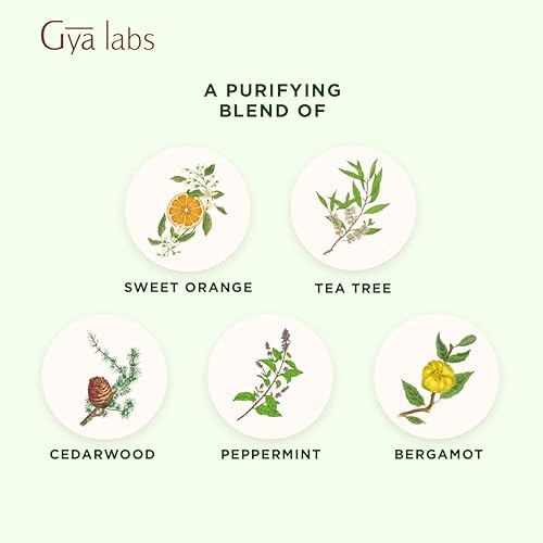 Gya Labs Purify Essential Oil Blend 10ml - Fresh & Cleansing Scent