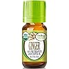 Healing Solutions Organic 10ml Oils - Ginger Essential Oil - 0.33 Fluid Ounces
