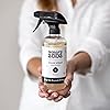 Molly's Suds Natural Laundry Stain Remover Spray | Stain Fighting Power | Earth Derived Ingredients | 16 oz, 2 Pack