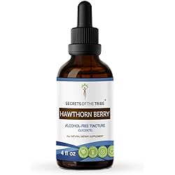 Hawthorn Berry Tincture Alcohol-Free Extract, High-Potency Herbal Drops, Tincture Made from Hawthorn Berry Crataegus Laevigata Cardiovascular System Health 4 oz