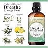 Natural Riches Breathe Essential Oil Blend Breathe Easy with Peppermint Eucalyptus Tea Tree Lemon Cardamom Pine Needle Essential Oils - 30 ml