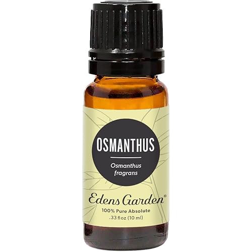 Edens Garden Osmanthus Essential Oil, 100% Pure Therapeutic Grade Undiluted Natural Homeopathic Aromatherapy Scented Essential Oil Singles 10 ml