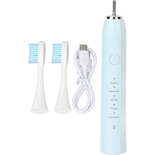 Electric Toothbrush Whitening Rechargeable Toothbrush, 5 Modes Rechargeable Power Sonic Toothbrush Ultrasonic Toothbrush for Adults, IPX7 Waterproof with 2 Replacement Brush Heads