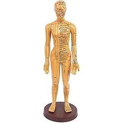 yotijar Plastic Standard Acupuncture Model Acupoint with Stand, MaleFemale 2 Types - Female 2