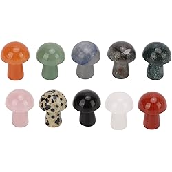 10 Pcs Crystal Mushroom Sculpture Decor,Mini Mushroom Shape Crystals Natural Gemstone,Quartz Mushroom for Bathtub Decoration Ornament