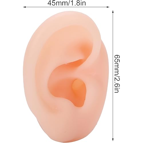 Ear Model, Silicone Right Ear Model Artificial Ear Display Model Hearing Aid Wearing To Demonstrate Teaching Ear Model