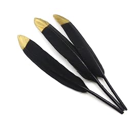 Riverbyland 20 PCS Gift Wrapping Craft Feathers Black Golden