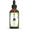 SVA Curry Leaf Essential Oil 1 Oz Oil 100% Pure & Natural, Authentic and Premium Therapeutic Grade Oil | Naturally Healthy and Shiny Hair
