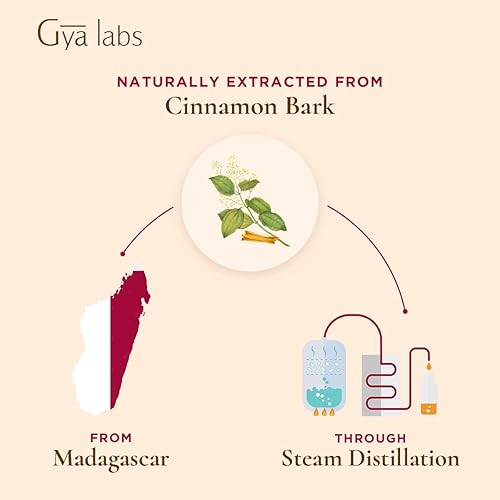 Gya Labs Cinnamon Bark Essential Oil 10ml - Spicy, Sweet Scent