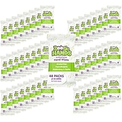 Hand Sanitizer Wipes by Boogie Wipes, Alcohol-Free, Hypoallergenic and Moisturizing Aloe, Boogie Hand Wipes for Adults and Kids, 48 Packs of 20 960 Total Wipes