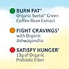 High Protein Bars for Weight Loss - Garden of Life Organic Fit Bar - Chocolate Almond Brownie 12 per carton - Burn Fat, Satisfy Hunger and Fight Cravings, Low Sugar Plant Protein Bar with Fiber