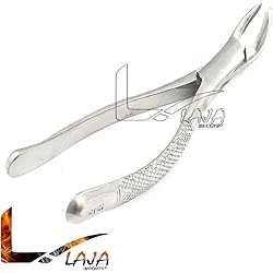 LAJA IMPORTS 151S 1PC Dental Instrument EXTRACTING Forceps Stainless Steel