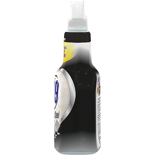 Formula 409 Stone and Steel Cleaner, Spray Bottle, 32 Ounces
