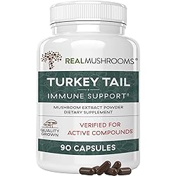 Turkey Tail Immune Support Mushroom Supplement - Organic Mushroom Capsules - Non-GMO Pills for Wellness and Vitality 90 Capsules