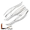 LAJA IMPORTS Dental EXTRACTING Forceps # 150 151 & 23 - Dentistry Extraction Instruments