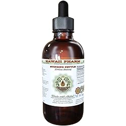 Stinging Nettle Alcohol-Free Liquid Extract, Organic Stinging Nettle Urtica Dioica Dried Leaf Glycerite 2 oz