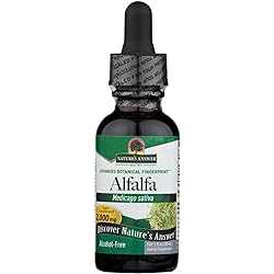 Nature's Answer Alcohol-Free Alfalfa Herb Extract, 1-Fluid Ounce Supports Immune System, Blood, Digestion, Energy Levels - Helps with Detoxification