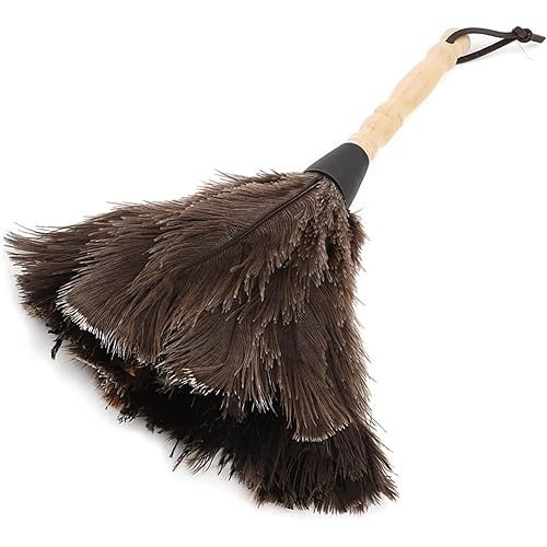 Feather Duster, Mini Washable Reusable Feather Duster Handmade Craft with Handle for Books Keyboard Office Home Cleaning