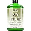 Best Eucalyptus Essential Oil 8oz Bulk Eucalyptus Oil Aromatherapy Eucalyptus Essential Oil for Diffuser, Soap, Bath Bombs, Candles, and More