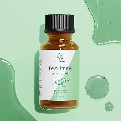 Tea Tree Essential Oil by Essential Delights - 100% Pure & Certified 1 oz. | Pure Grade Distilled Tea Tree Essential Oil