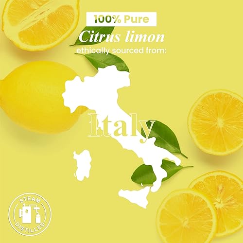 Handcraft Lemon Essential Oil - 100% Pure and Natural - Premium Therapeutic Grade with Premium Glass Dropper - Huge 4 fl. Oz