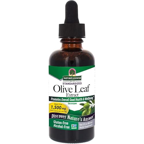 Nature's Answer Alcohol Free Olive Leaf Extract 2 Ounce | Supports Overall Wellness | Vegan | Non-GMO | Gluten Free | Made in The USA | Single Count