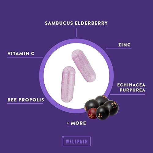 Shield Elderberry Capsules - 5-in-1 Immune Support Booster with Zinc, Vitamin C, Echinacea, Bee Propolis - Premium Zinc Supplement - 600 mg Sambucus Black Elderberry Pills for Adults - 60 Ct