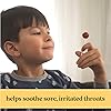 Burt's Bees Kids Throat Soothing Pops, Cherry, Red, 15 Count
