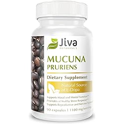 Jiva Botanicals - Mucuna Pruriens Capsules 1100 mg - Precursor to Dopamine Supplements - Velvet Beans containing L Dopa L-Dopa - Mucuna Pruriens Extract in Mucuna Pruriens Powder Form - 90 Capsules