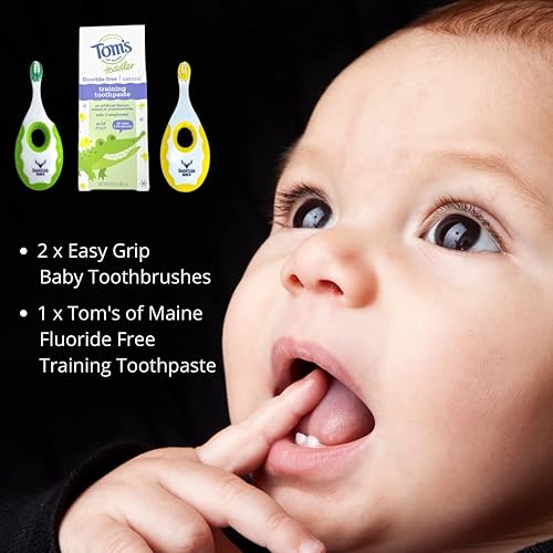 Dauntless Merch Easy to Grip Baby Toothbrush, and Fluoride Free Toddler Training Toothpaste, Mild Fruit Flavor, 1.75 oz. Starter Set