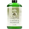 Best Eucalyptus Essential Oil 16oz Bulk Eucalyptus Oil Aromatherapy Eucalyptus Essential Oil for Diffuser, Soap, Bath Bombs, Candles, and More