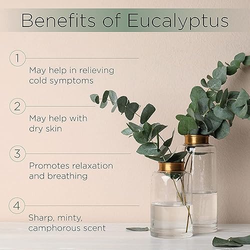 Radha Beauty Eucalyptus Essential Oil 4 oz - 100% Pure & Therapeutic Grade, Steam Distilled for Aromatherapy, Relaxation, Shower, Sauna, Bath, Steam Room and other DIY Projects