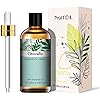 PHATOIL 100ML Citronella Essential Oil, Aromatherapy Essential Oils for Diffuser, Humidifier, Relax, Perfect Gifts, Huge 3.38fl.oz Bottle