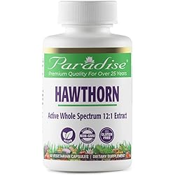 Paradise Herbs Hawthorn Berry | Promotes Healthy Cardiovascular Function & Circulatory Support | Active Whole Spectrum 12:1 Extract | Vegan | NON-GMO | Gluten Free 60 Vegetarian Capsules