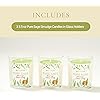 Magnificent 101 Pure Sage Smudge Candles - Set of 3 for House Energy Cleansing, Aromatherapy, Meditation, and Banishing Negative Energy - Natural Soy Wax and Essential Oils in 3.5-oz Glass Holders