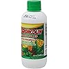 Broncolin Syrup with Propolis and Plant Extracts, Cough Relief Syrup with Honey, 11.4 Fl Oz, Bottle