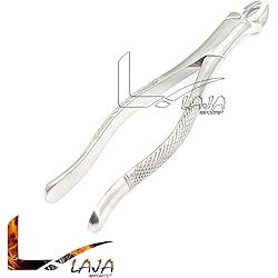 LAJA IMPORTS Dental Instruments EXTRACTING Forceps 53R Stainless Steel 1 PC