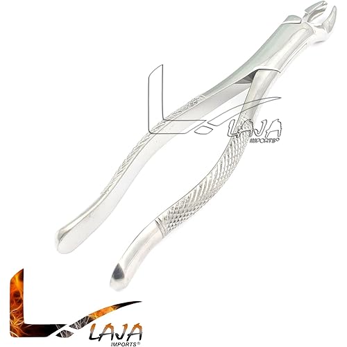 LAJA IMPORTS Dental Instruments EXTRACTING Forceps 53R Stainless Steel 1 PC