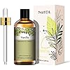 PHATOIL 100ML Vanilla Essential Oil, Huge 3.38fl.oz Bottle Vanilla Oil, Pure Aromatherapy Essential Oils for Diffuser, Humidifier, Scented Oils for Soap, Candle Making