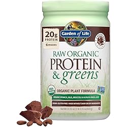 Garden of Life Raw Organic Protein & Greens Chocolate - 20 Servings, Vegan Protein Powder for Women and Men, Juiced Greens and 20 g Plant Protein Plus Probiotics & Enzymes, Gluten-Free Low Carb Shake