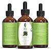 SVA Curry Leaf Essential Oil 1 Oz Oil 100% Pure & Natural, Authentic and Premium Therapeutic Grade Oil | Naturally Healthy and Shiny Hair