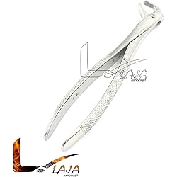 LAJA IMPORTS 1PC Dental Instrument 73# EXTRACTING Forceps Stainless Steel